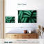 Harnek vert Calathea feuilles-108951712