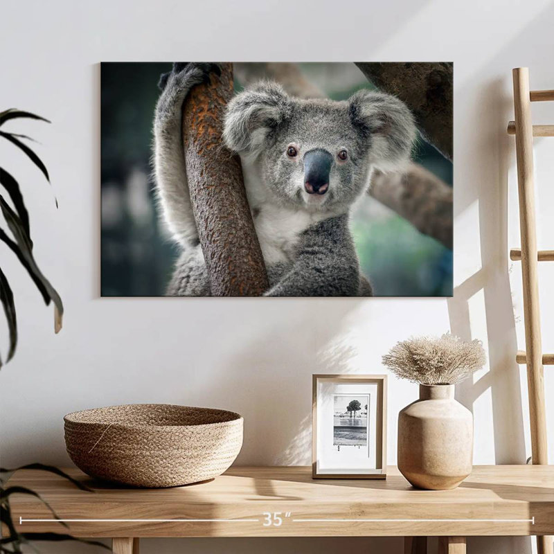 Brampt Happy Koala, 30" H x 45" W