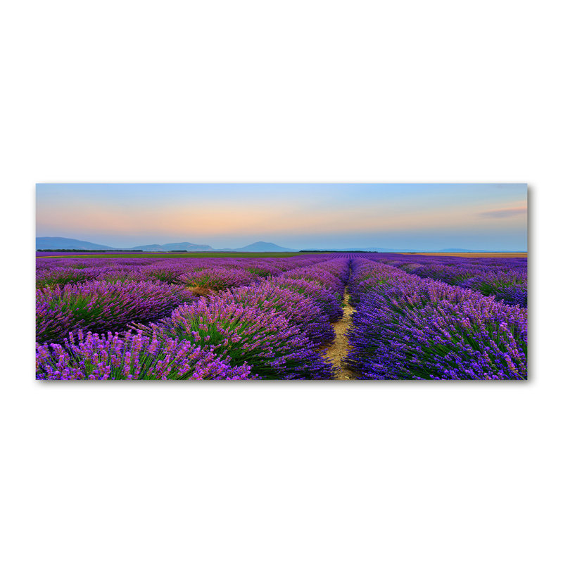 Canvas Print - Wall Art - Prints On Canvas - 125X50 Image Picture Theme: Lavender Field