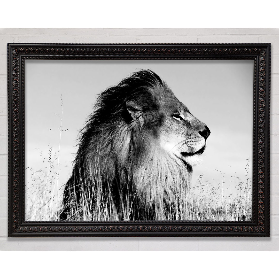 Lion On Watch Silver N Silver - Einzelner Bilderrahmen Kunstdrucke