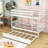 Bonifay Kids Twin Over Twin Bunk Bed with Trundle-379045512