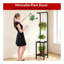 Plant Stand