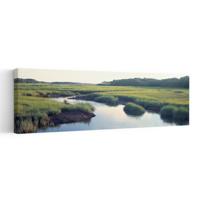 Salt Marsh, Cape Cod, Wellfleet, Ma Contemporary Wall Art