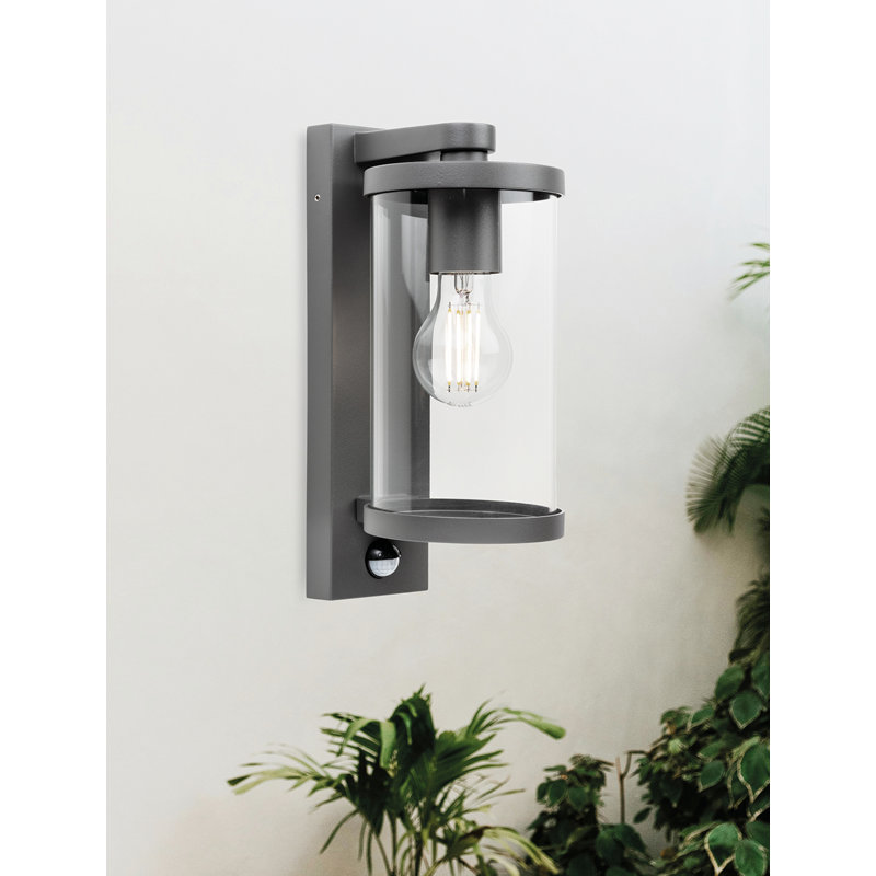 29.0cm H Outdoor Sconce
