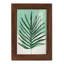 Verging Palm I - Impression encadrée avec verre-90561002-90561010