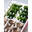 Stainless Steel Dishwasher Safe