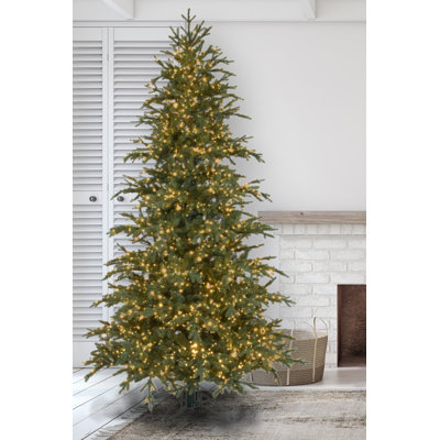 Lighted Nordic Fir by Forevertree