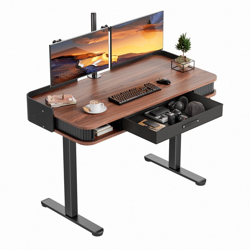 Marshun 48'' W Height Adjustable Rectangle Electric Standing Computer Desk  Home Office Desk with Drawers