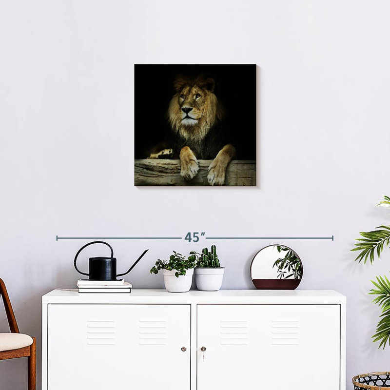 Brampt Imperious Lion, 20" H x 20" W