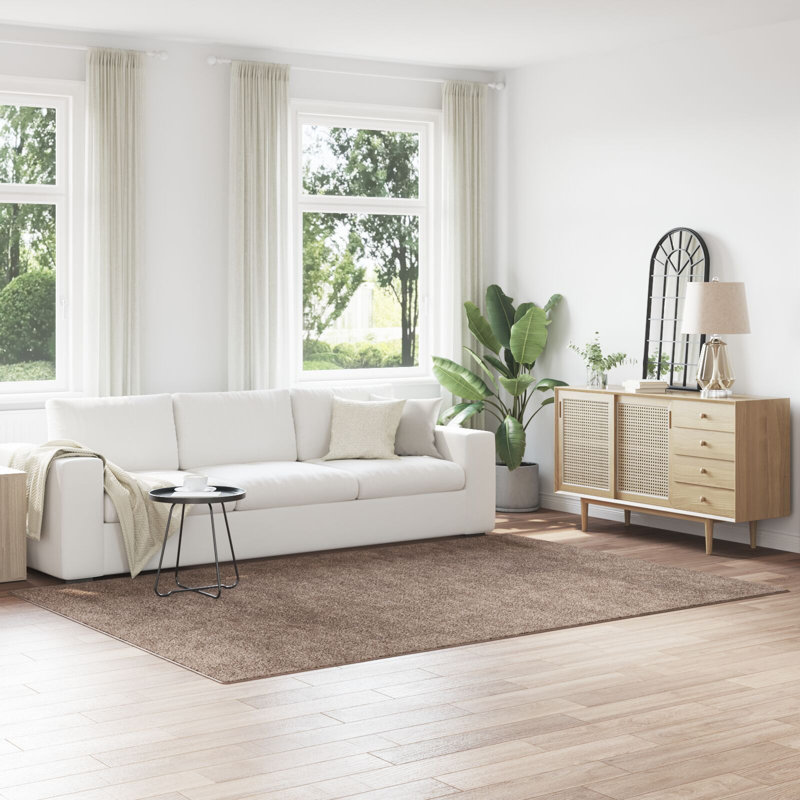 Rug Brown Polyester Diameter 120 Cm Area Rugs Round Contemporary, Rectangle 200 x 290 cm