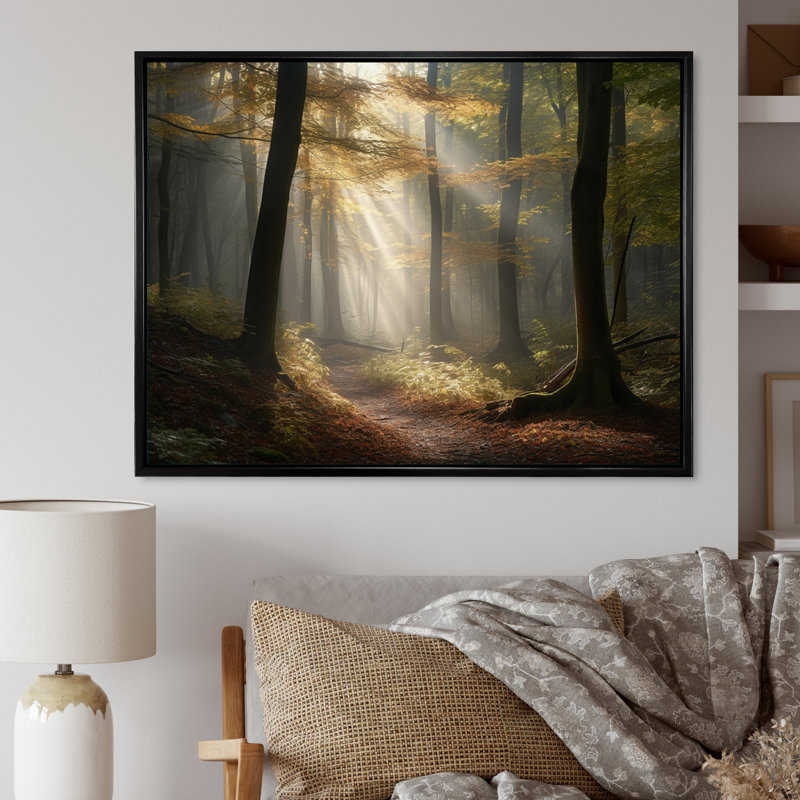 La lumière traverse la forêt II - impression, H 34 po x l 44 po x P 1,5 po, Cadre flottant noir