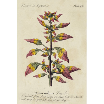 Gardeners Guide VI - Wrapped Canvas Painting