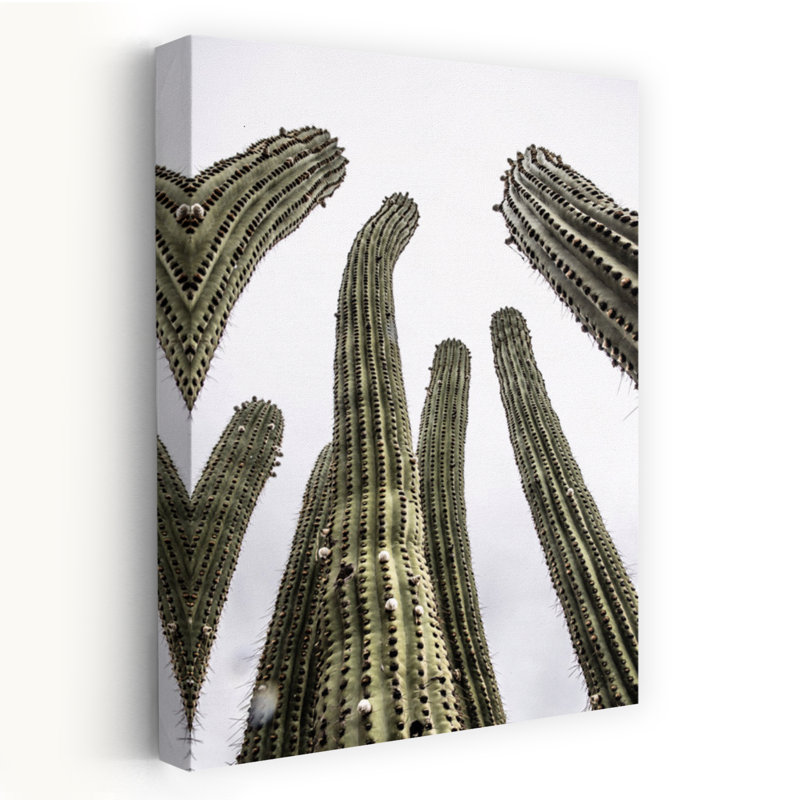 Contemporary Art Contemporary Minimalist Modern Cactus Nature Architecture Art 1 Piece Wrapped Canvas Wall Art