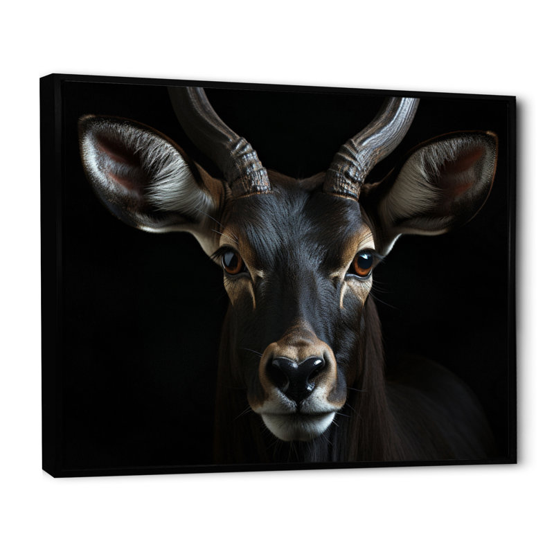 Keillan Antelope Portrait II, reproduction d'art sur toile, H 12 po x l 20 po x P 1 po, Cadre flottant noir