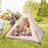Triangle Princess House Camping Tent