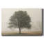 Toile tendue I-Gallery « Arbres dans la brume »-1244557125