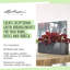 Cube Pot Planter-36478259