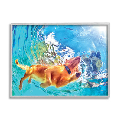 Chien nageant sous l'eau par Masey St. Studios