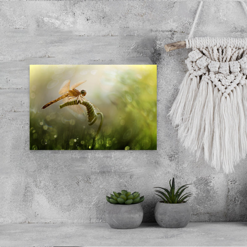 Dragonfly In Golden Delicate Ethereal Peaceful Dragonfly Fly Nature Plant Wall Art Print 1 Piece Wrapped Canvas Wall Art