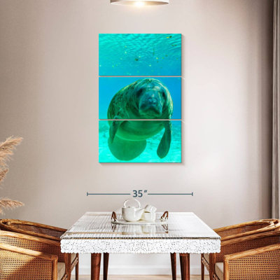 Brampt Swimming Manatee