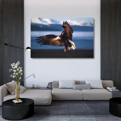 Into the Wind - Bald Eagle IMA-M572