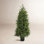 60" Pre-Lit Cypress Tree in Pot