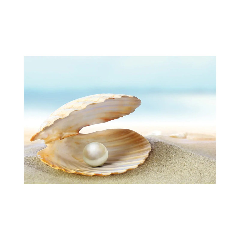 «Shell with a perle» par lilas - Photographie sur toile tendue, H 12 po x l 18 po x 1,5 po