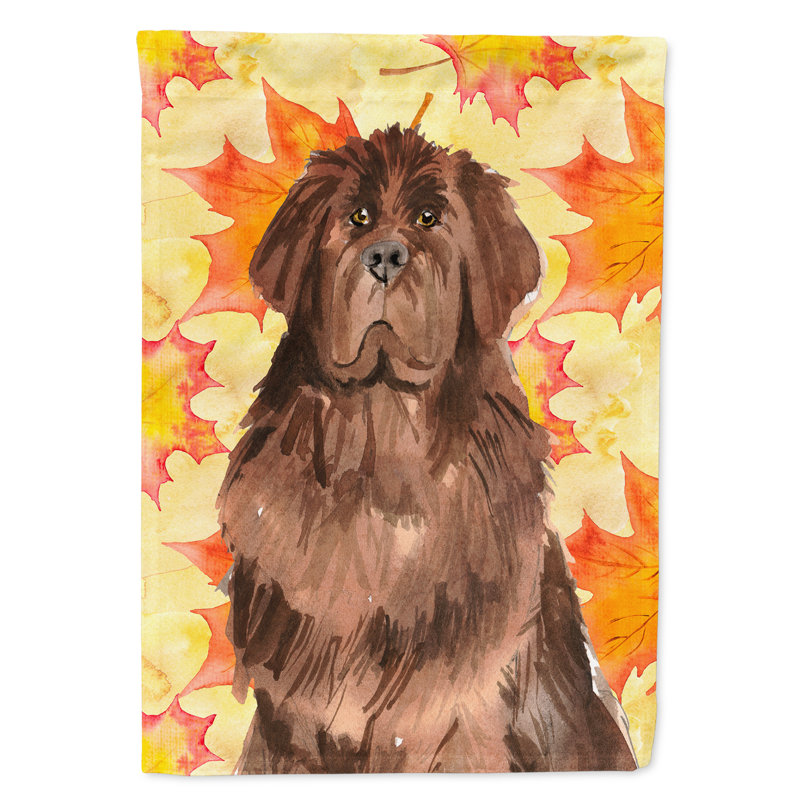 Automne 2 côtés en polyester 15 x 11 po drapeau de jardin, Terre-neuve brun