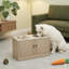 Bols surélevés pour chien avec armoire de rangement