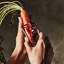 The Forever Peeler 