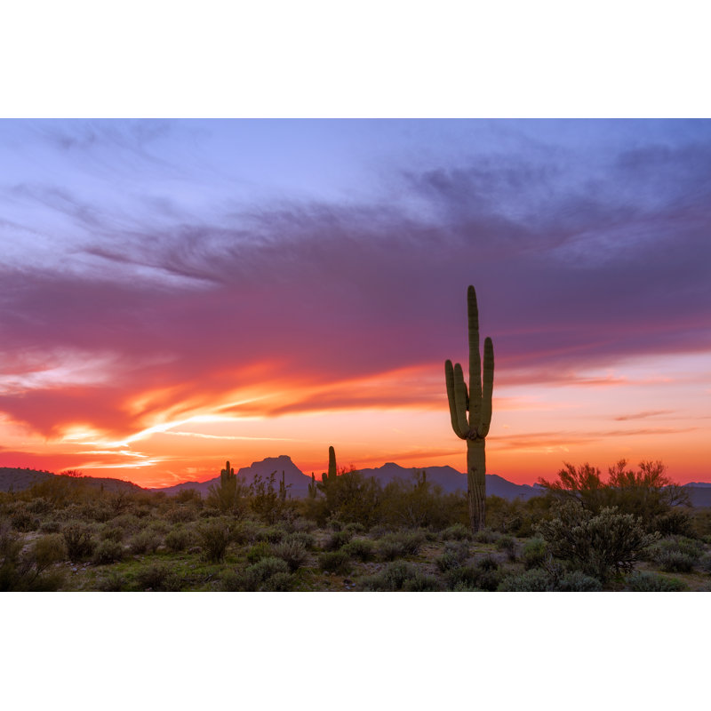 Sonoran Desert Landscape - Wrapped Canvas Print, 30cm H x 46cm W