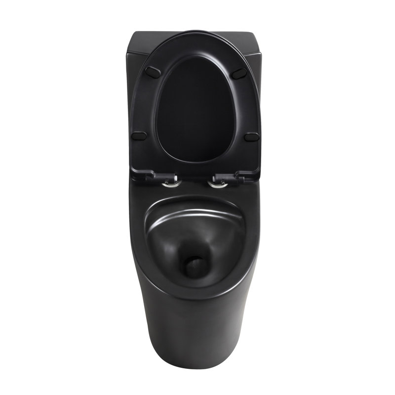 Dual-Flush One-Piece Toilet, Water-Saving Elongated Comfort Height, Soft Close Seat, Matte Black Finish