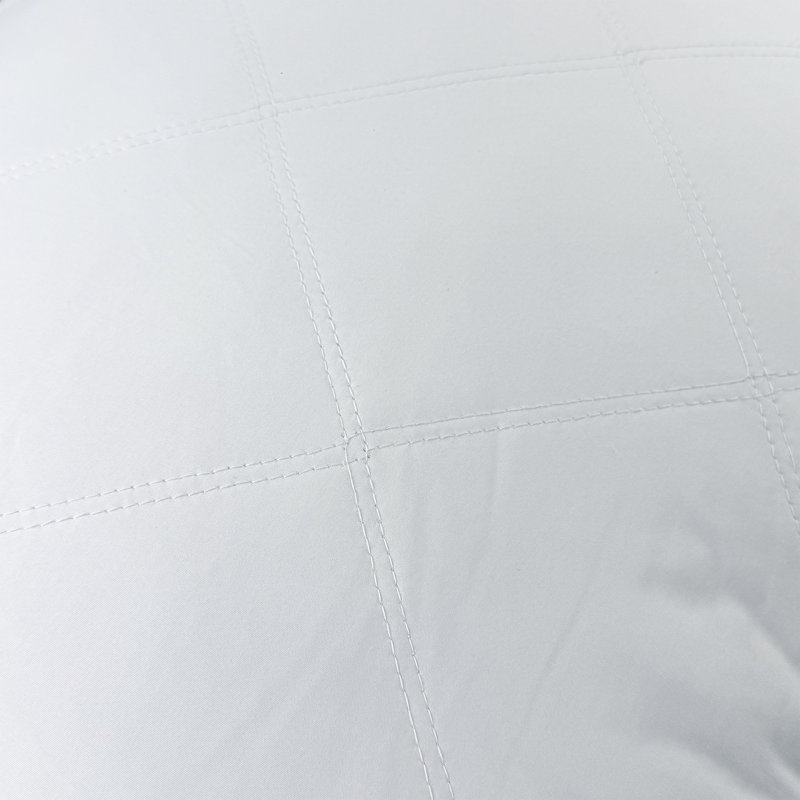 Set of 2 Gusset Goose Feathers Bed Pillows Peach Skin Cover, King Size Bed Pillow, King