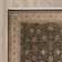 Catarina Oriental Indoor Rug
