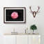 Lone Pink Carnation Paint Splash - Picture Frame Graphic Art-56865394-56865395