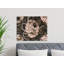 Wrapped Canvas Print Set-764048888