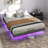 Floating Bed Frame with LED Lights, Metal Bed Frame, No Springs, Easy to Assemble-904295791