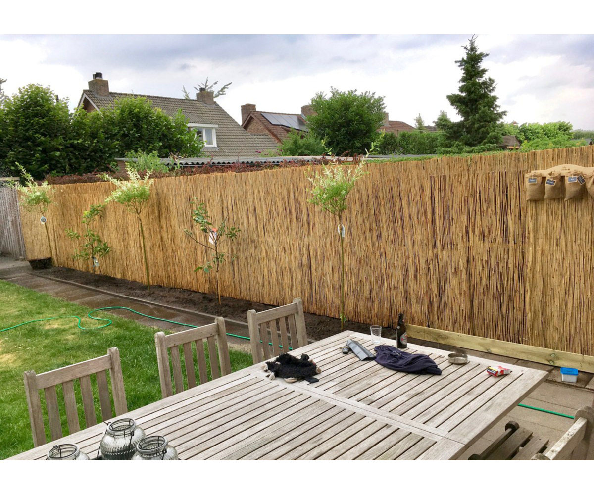 MGP 96'' H x 168'' W Tan Bamboo/Reed Fencing & Reviews | Wayfair
