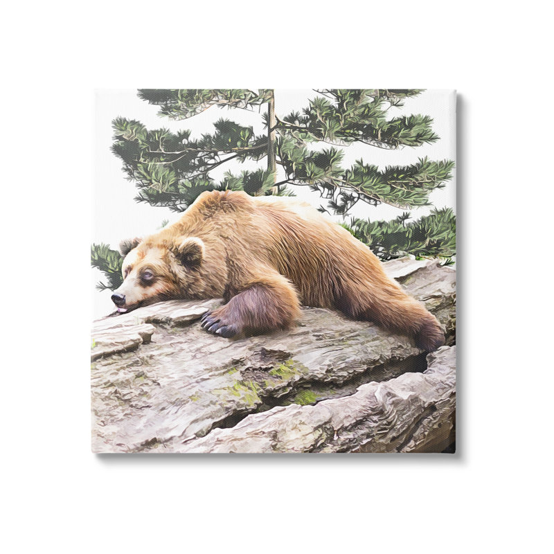 «Sleeping Brown Bear Wildlife» par Kim Curationa - impression sur toile tendue, H 36 po x l 36 po x P 1,5 po