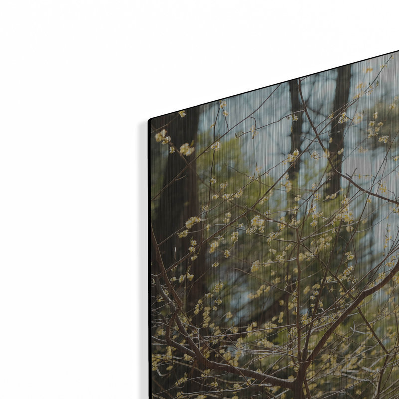 «Spring» par Kelly Sinclair, H 12 po x l 12 po