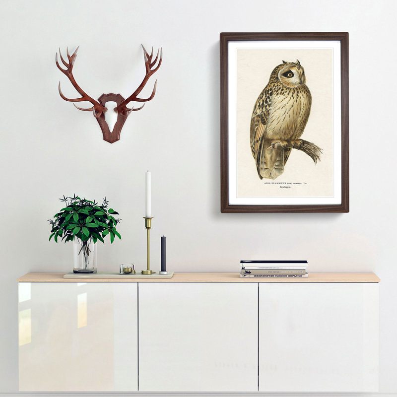 Short-Eared Owl by Von Wright - Picture Frame Painting Print, Walnut, 91cm H x 60cm W x 2cm D