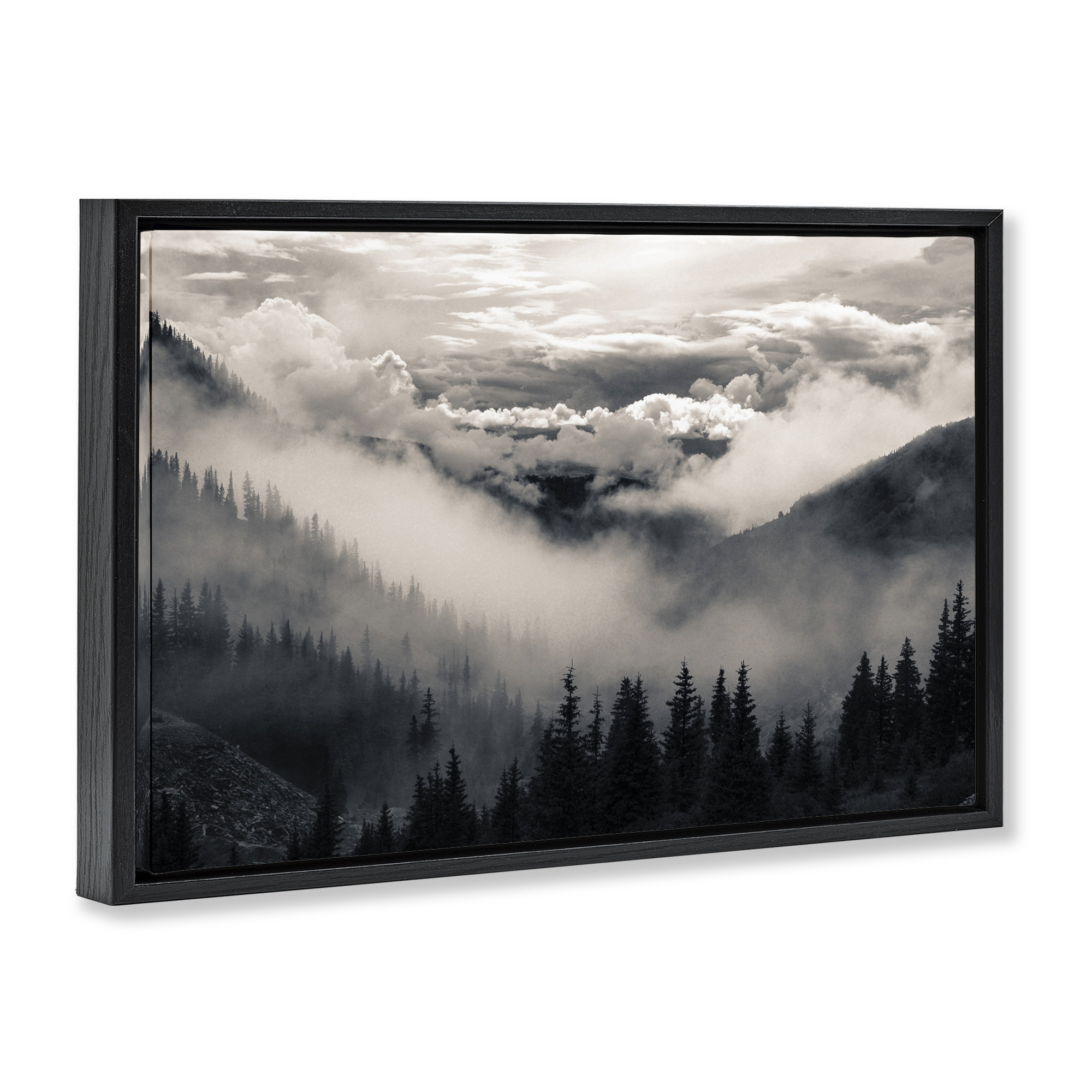 Latitude Run® Billowing Fog Atmosphere Floating Frame, design by Decent ...