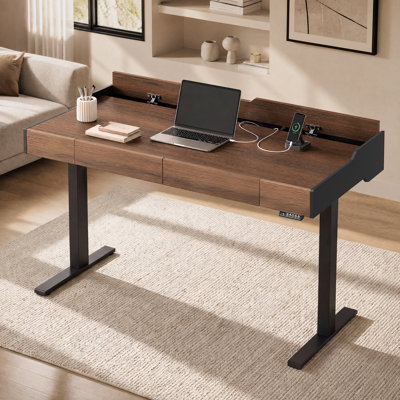 48"W Modern Height Adjustable Electric Desk with Storage Drawers & Hidden Cord Compartment for Home Office