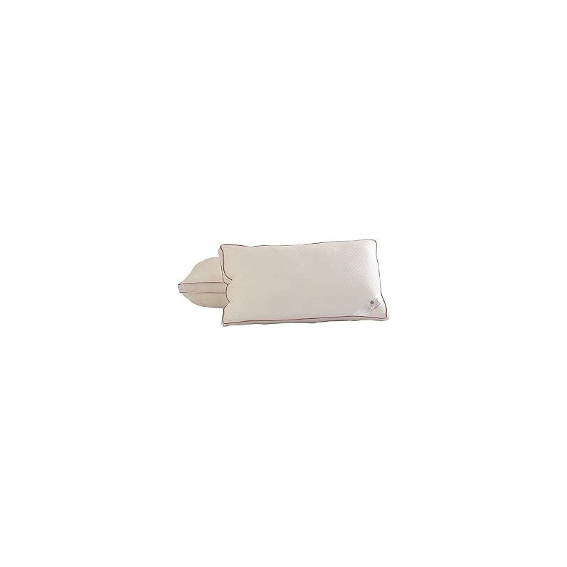 Lancashire Textiles Microfibre Health White Pillow Pair With 2 Pillowcase Red Stain Piping Edge ( Pack Of 2, 48 X 74 Cm)