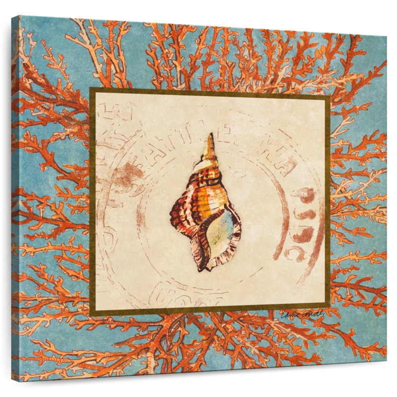 Corail Medley Shell IV, H 30 po x l 30 po