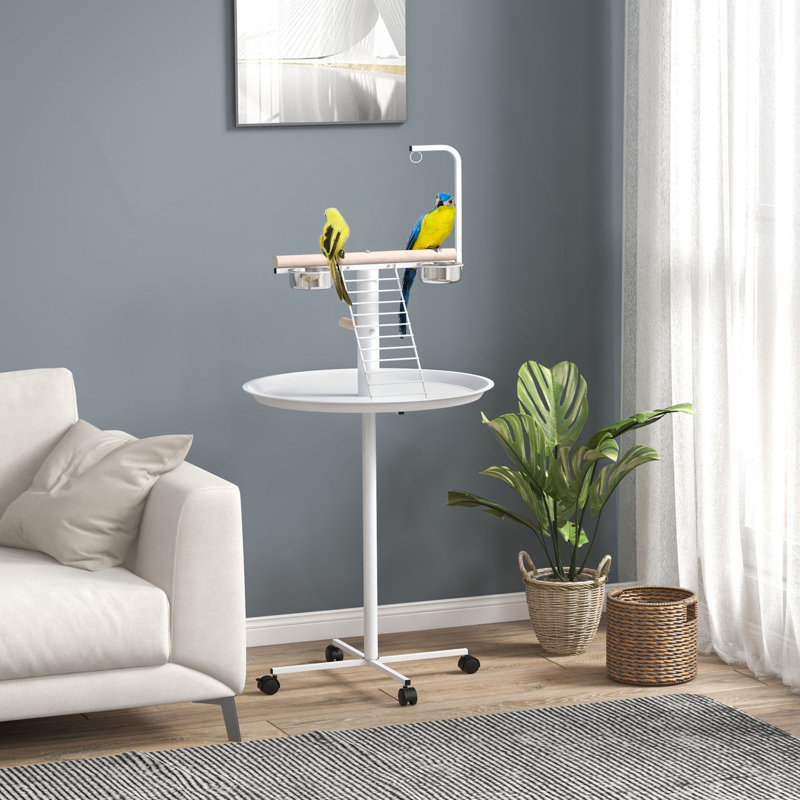 Support pour oiseaux, support pour perroquet avec roues, perchoirs, bols en acier inoxydable, plateau rond, support pour oiseaux pour l'intérieur et l'extérieur, blanc