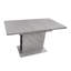 Extendable Dining Table-1331881253