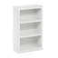 Berrysburg 99.01cm H x 62.51cm W Standard Bookcase-1097534300