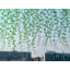 Leaves Window Decal