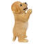 Chiot labrador jaune priant